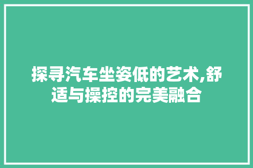 探寻汽车坐姿低的艺术,舒适与操控的完美融合