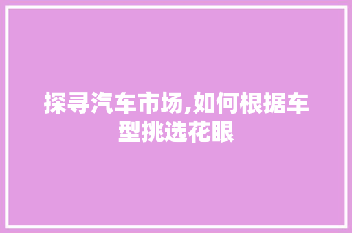 探寻汽车市场,如何根据车型挑选花眼