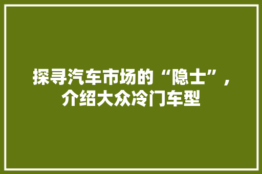 探寻汽车市场的“隐士”,介绍大众冷门车型