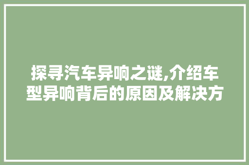 探寻汽车异响之谜,介绍车型异响背后的原因及解决方法