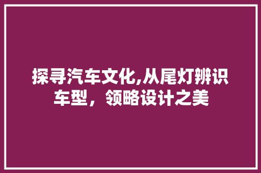 探寻汽车文化,从尾灯辨识车型，领略设计之美
