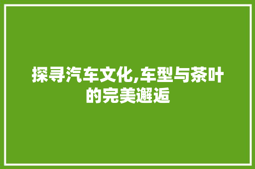 探寻汽车文化,车型与茶叶的完美邂逅