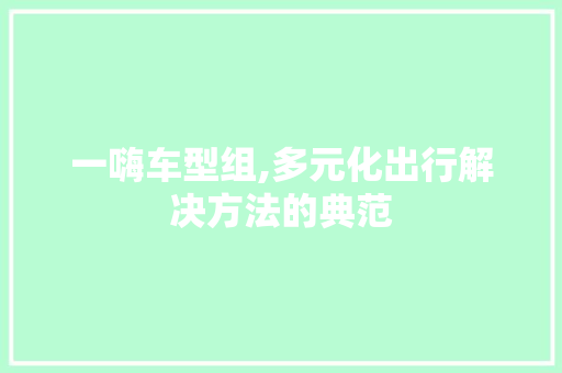 一嗨车型组,多元化出行解决方法的典范