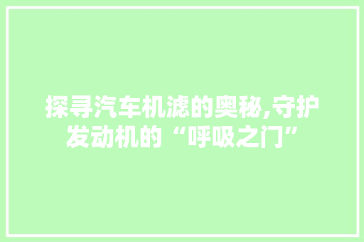 探寻汽车机滤的奥秘,守护发动机的“呼吸之门”