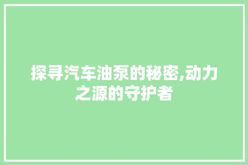 探寻汽车油泵的秘密,动力之源的守护者