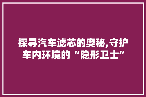 探寻汽车滤芯的奥秘,守护车内环境的“隐形卫士”