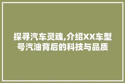 探寻汽车灵魂,介绍XX车型号汽油背后的科技与品质