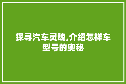 探寻汽车灵魂,介绍怎样车型号的奥秘