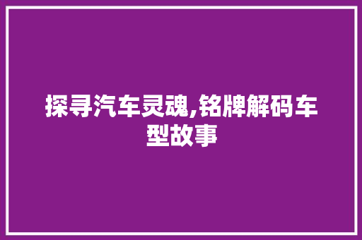 探寻汽车灵魂,铭牌解码车型故事
