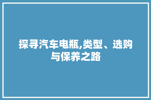 探寻汽车电瓶,类型、选购与保养之路