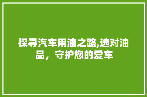 探寻汽车用油之路,选对油品，守护您的爱车