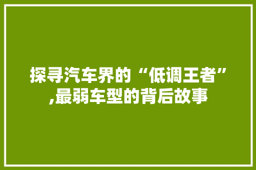探寻汽车界的“低调王者”,最弱车型的背后故事