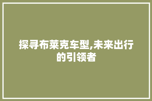 探寻布莱克车型,未来出行的引领者