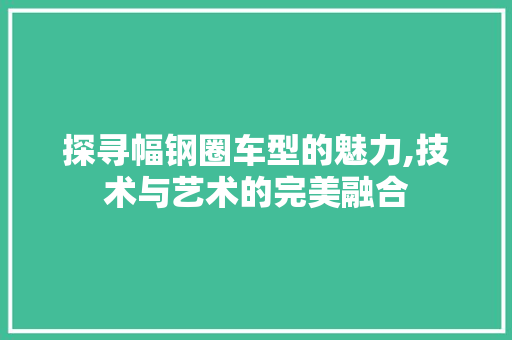探寻幅钢圈车型的魅力,技术与艺术的完美融合