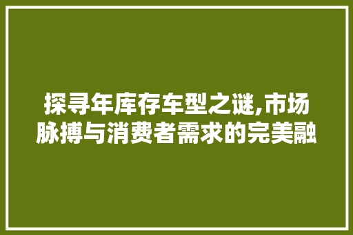 探寻年库存车型之谜,市场脉搏与消费者需求的完美融合