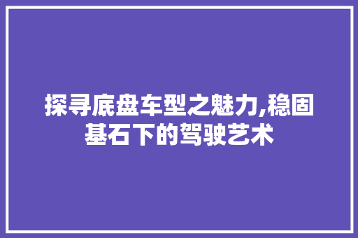 探寻底盘车型之魅力,稳固基石下的驾驶艺术 底盘配件