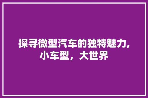 探寻微型汽车的独特魅力,小车型，大世界