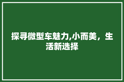 探寻微型车魅力,小而美，生活新选择