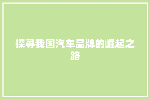探寻我国汽车品牌的崛起之路