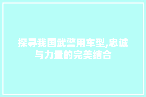 探寻我国武警用车型,忠诚与力量的完美结合