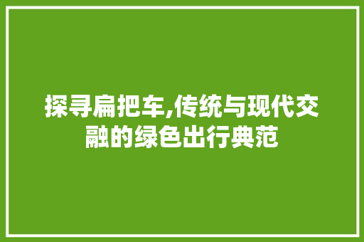 探寻扁把车,传统与现代交融的绿色出行典范