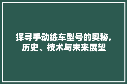 探寻手动练车型号的奥秘,历史、技术与未来展望