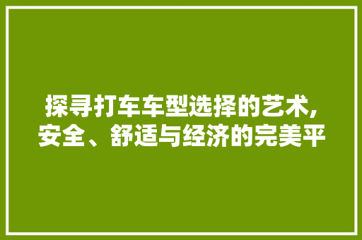 探寻打车车型选择的艺术,安全、舒适与经济的完美平衡