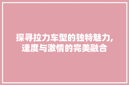 探寻拉力车型的独特魅力,速度与激情的完美融合