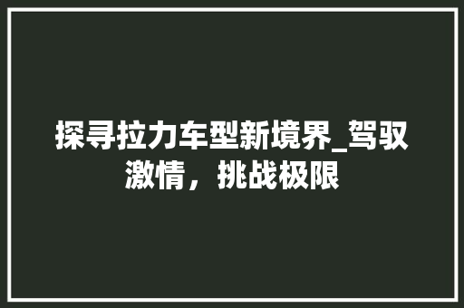 探寻拉力车型新境界_驾驭激情，挑战极限