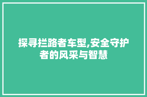 探寻拦路者车型,安全守护者的风采与智慧