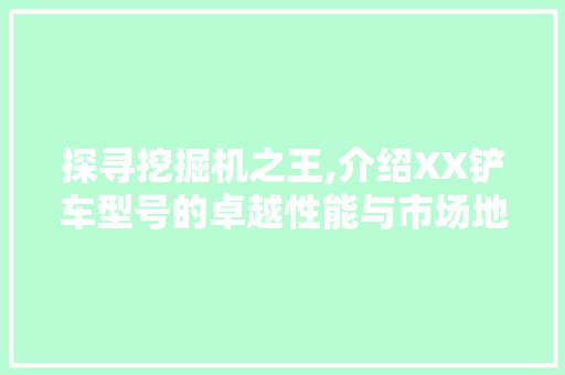探寻挖掘机之王,介绍XX铲车型号的卓越性能与市场地位