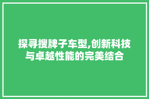 探寻搜牌子车型,创新科技与卓越性能的完美结合