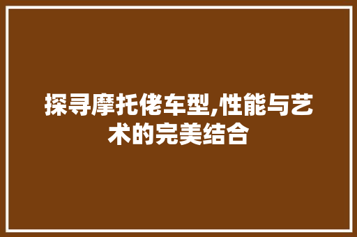 探寻摩托佬车型,性能与艺术的完美结合