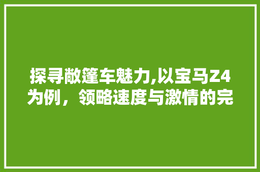 探寻敞篷车魅力,以宝马Z4为例，领略速度与激情的完美融合