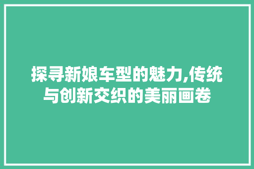 探寻新娘车型的魅力,传统与创新交织的美丽画卷
