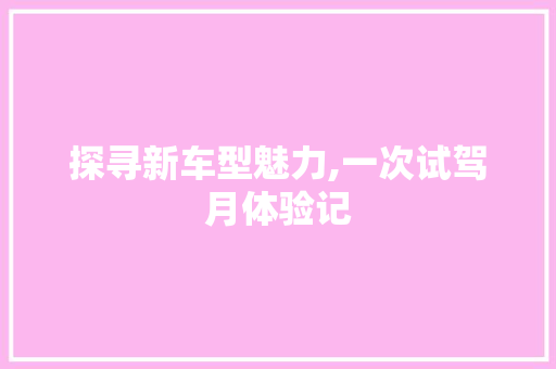 探寻新车型魅力,一次试驾月体验记
