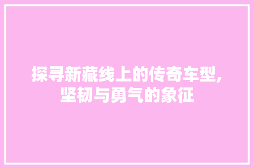 探寻新藏线上的传奇车型,坚韧与勇气的象征