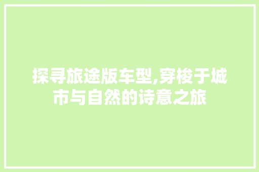 探寻旅途版车型,穿梭于城市与自然的诗意之旅