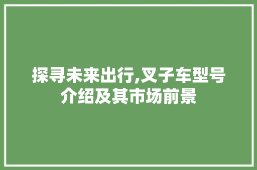 探寻未来出行,叉子车型号介绍及其市场前景