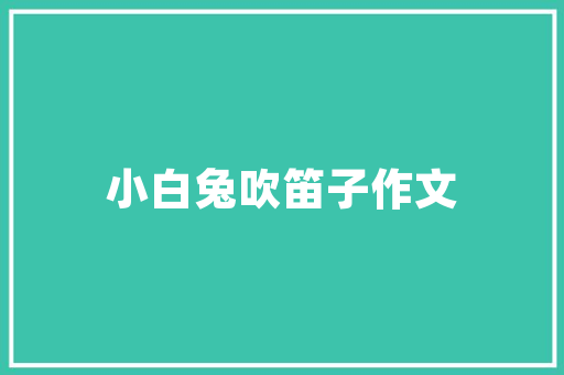 九万以下车型市场,性价比与品质的完美平衡