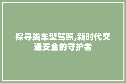 探寻类车型驾照,新时代交通安全的守护者