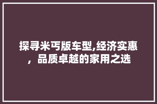 探寻米丐版车型,经济实惠，品质卓越的家用之选