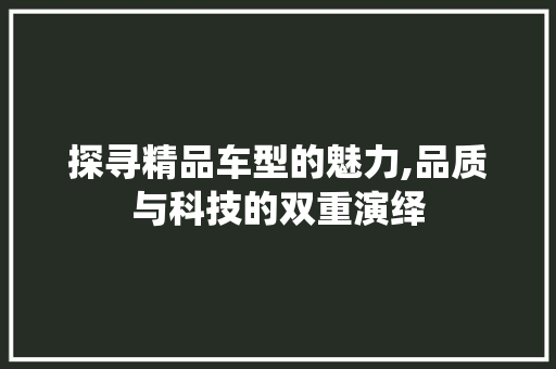 探寻精品车型的魅力,品质与科技的双重演绎