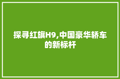 探寻红旗H9,中国豪华轿车的新标杆