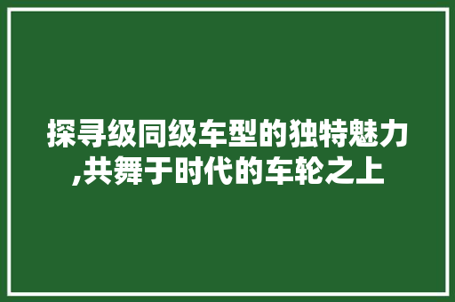 探寻级同级车型的独特魅力,共舞于时代的车轮之上