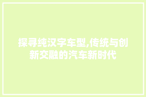 探寻纯汉字车型,传统与创新交融的汽车新时代