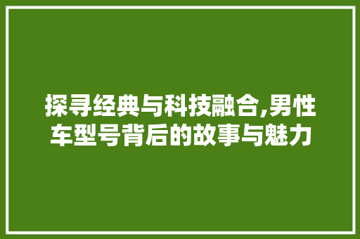 探寻经典与科技融合,男性车型号背后的故事与魅力
