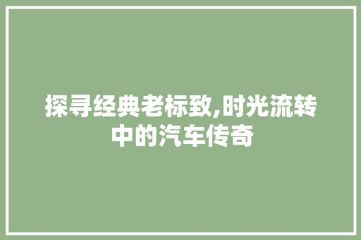 探寻经典老标致,时光流转中的汽车传奇