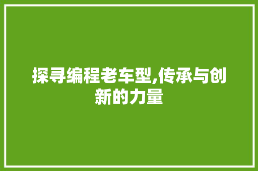 探寻编程老车型,传承与创新的力量