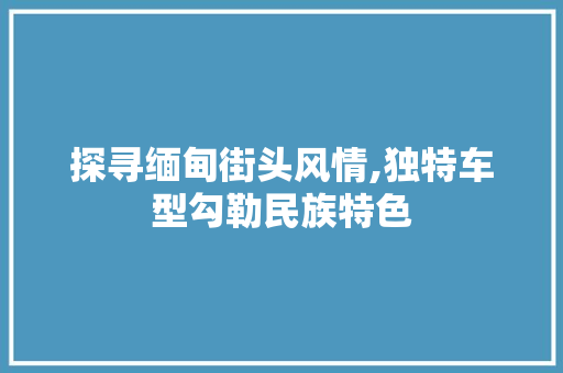探寻缅甸街头风情,独特车型勾勒民族特色